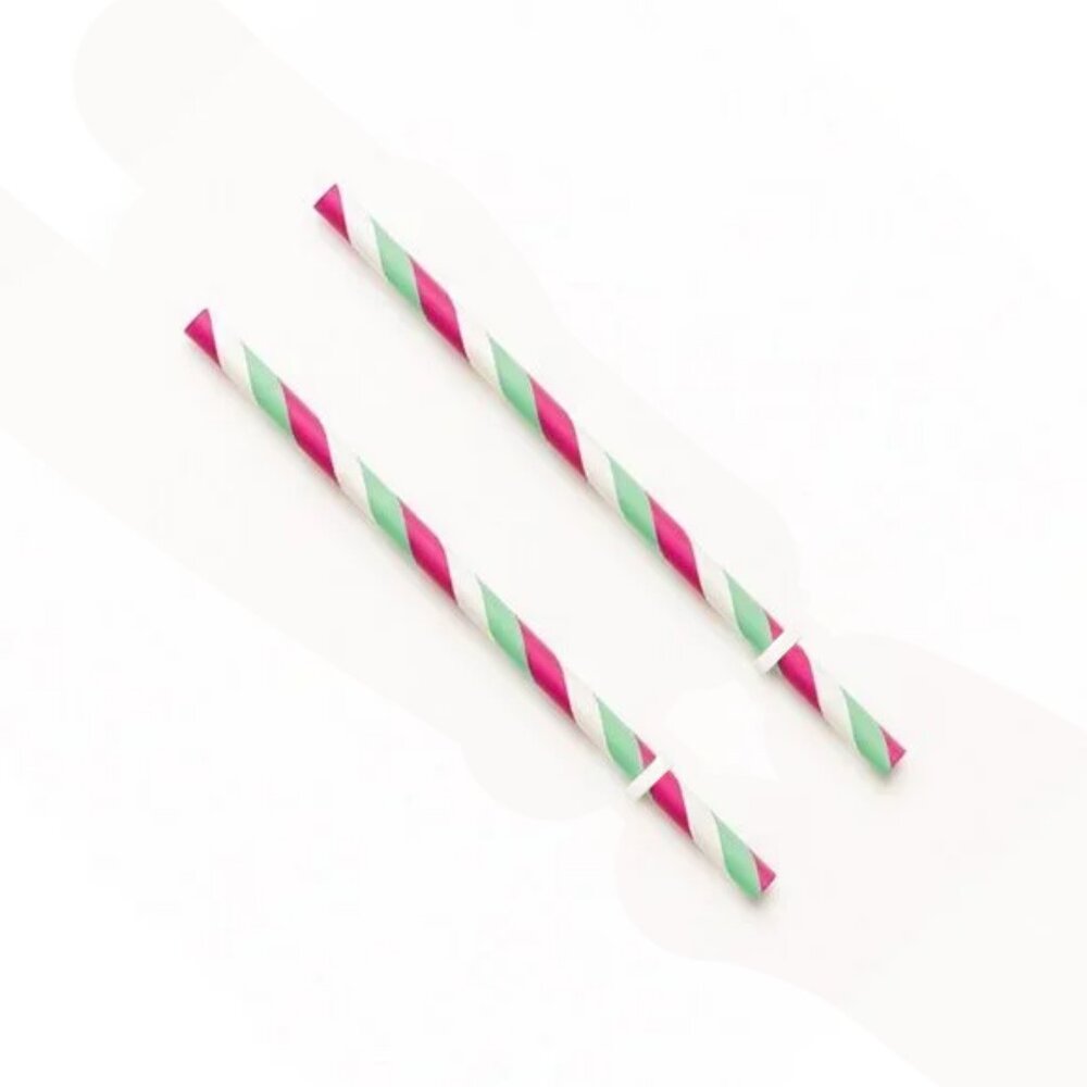 Starbucks Reusable Straws (Christmas Colorful Stripes) (X2)